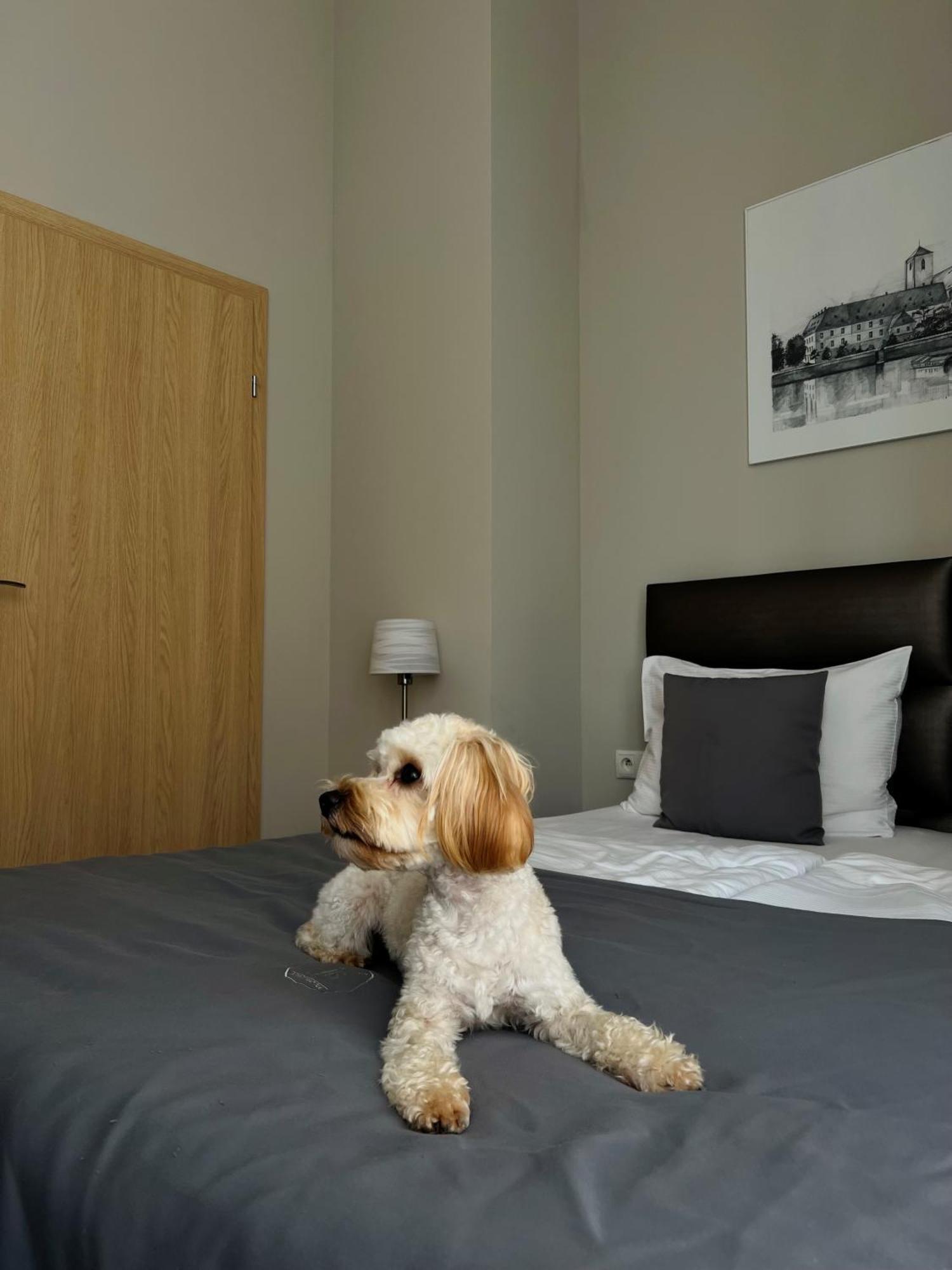 Joyinn Aparthotel Wroclaw Luaran gambar